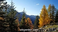 wbgarden alps 122